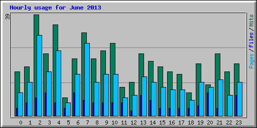 Hourly usage for June 2013